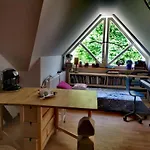 Klimatyczny Dom, W Lesie Miejskim